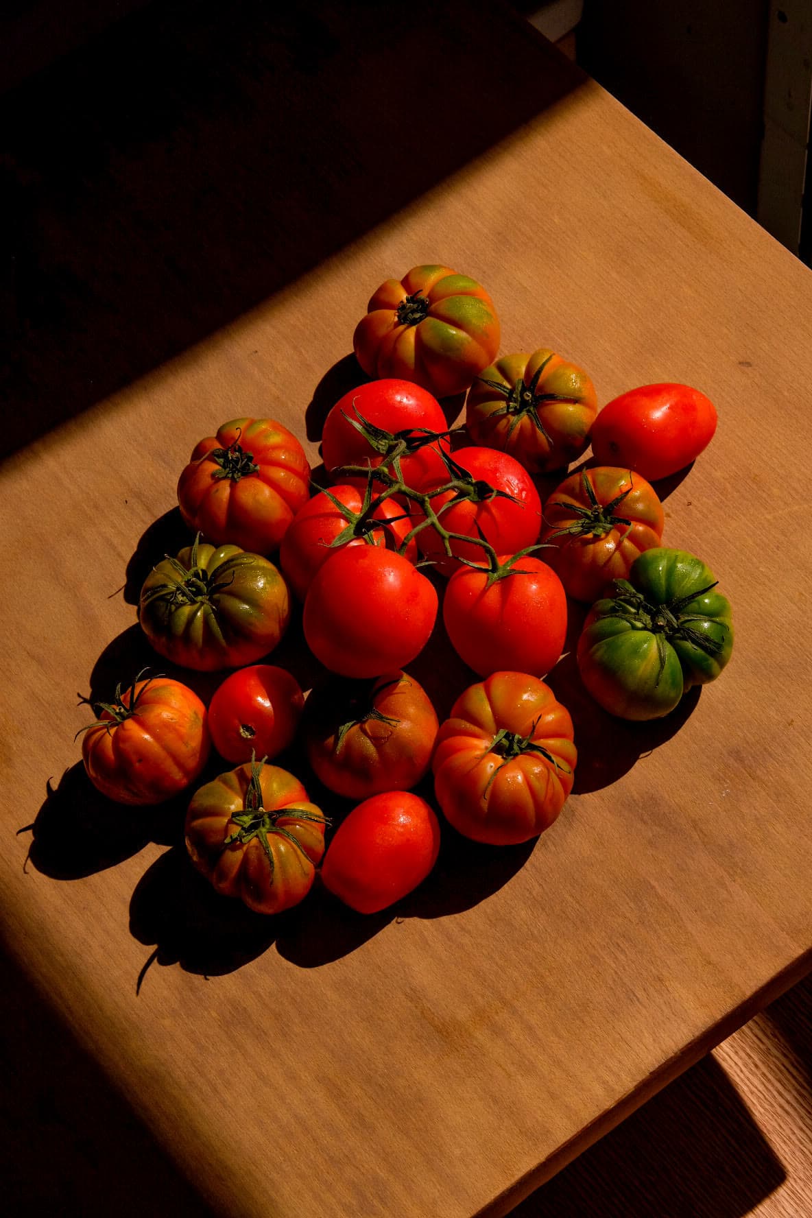 Heirloom tomatoes in dramatic side light